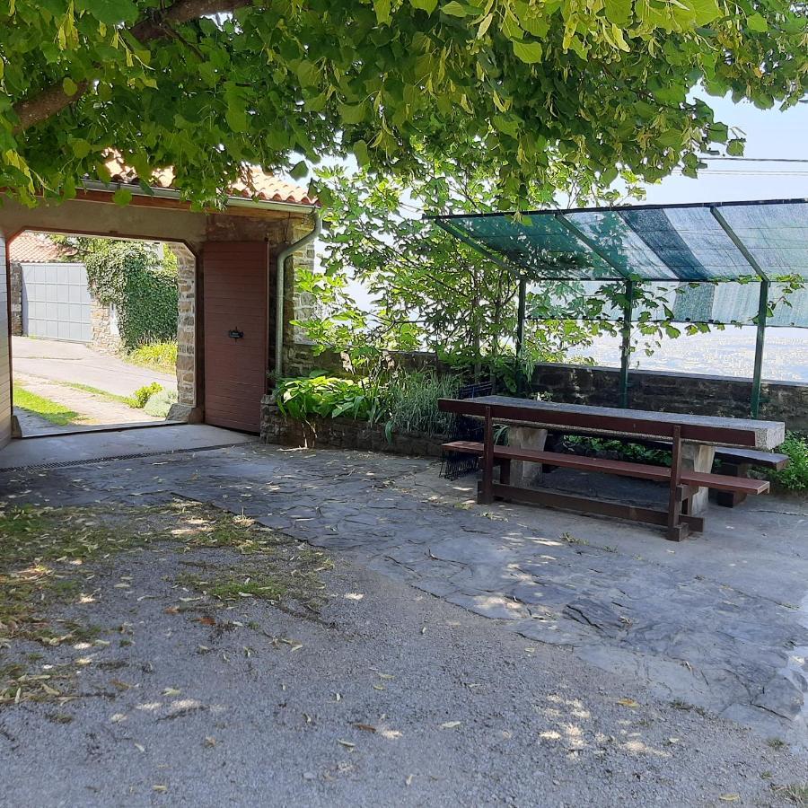 Violet'S Place Črni Kal Dış mekan fotoğraf