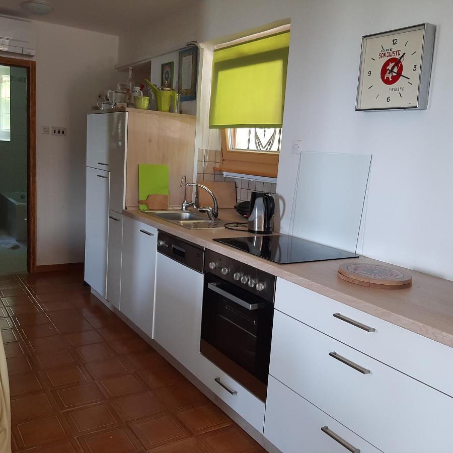 Violet'S Place Črni Kal Dış mekan fotoğraf