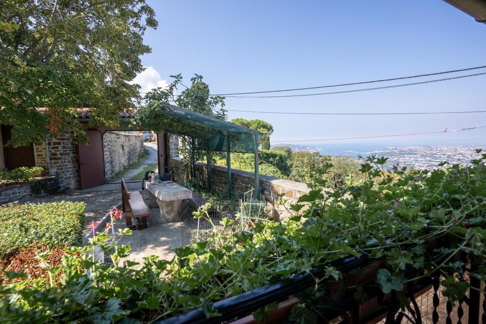 Violet'S Place Črni Kal Dış mekan fotoğraf