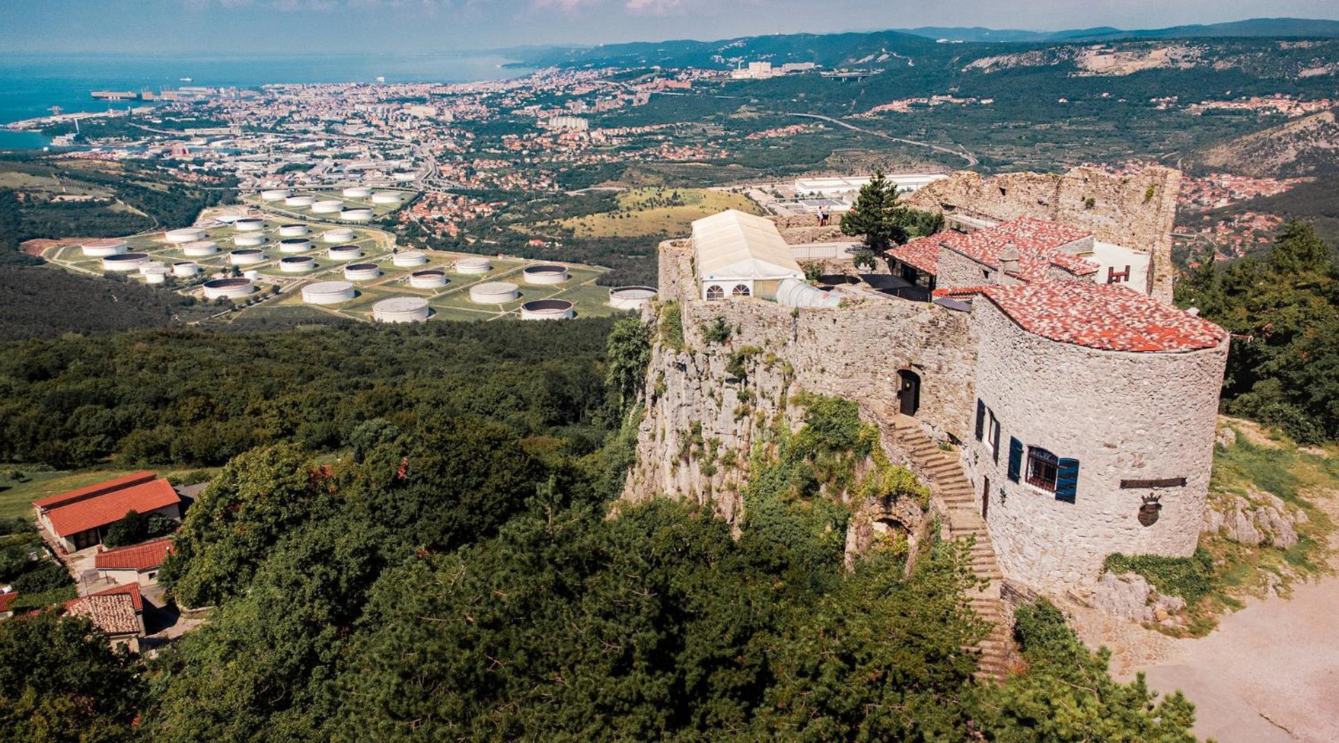 Violet'S Place Črni Kal Dış mekan fotoğraf