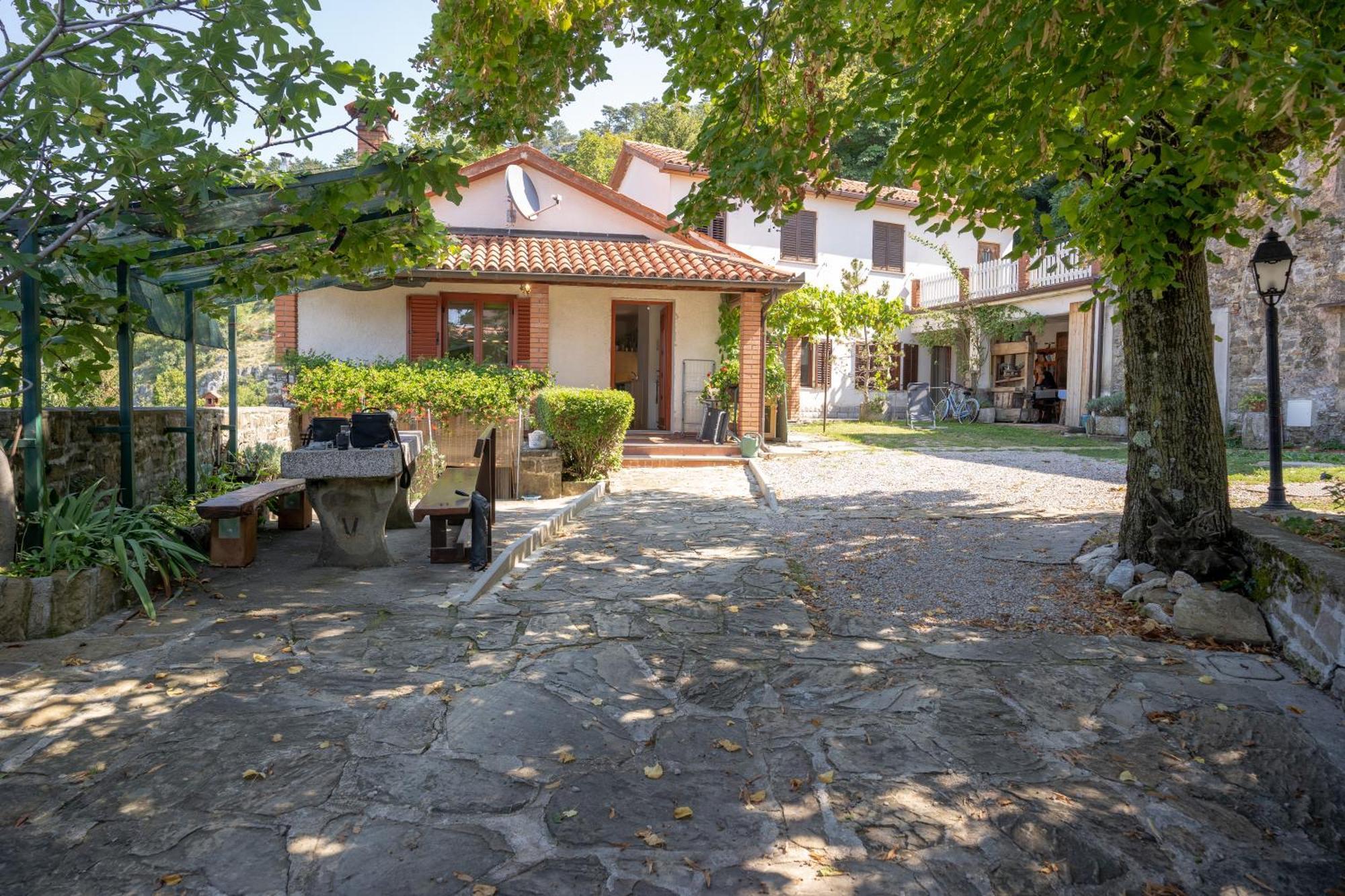 Violet'S Place Črni Kal Dış mekan fotoğraf